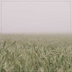 胡秀英一夜7次高潮
