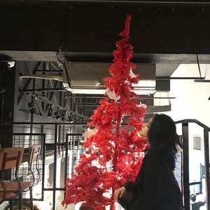 胡秀英一夜7次高潮
